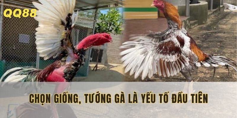 Người nuôi cần phải kỹ lưỡng ở bước này